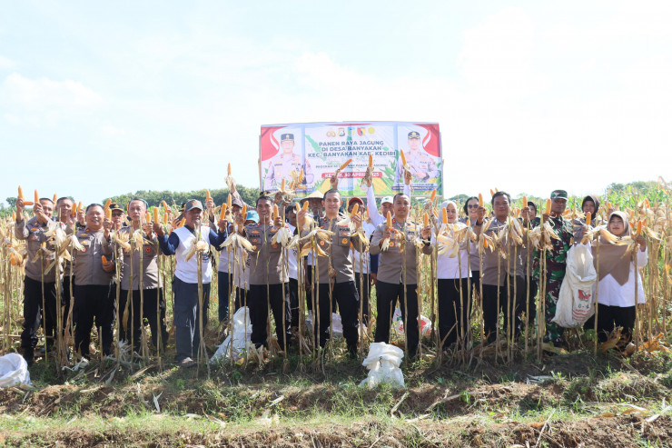 Polres Kediri Kota bersama Warga Tani Panen Raya Jagung, Wujud Nyata Dukung Swasembada Pangan