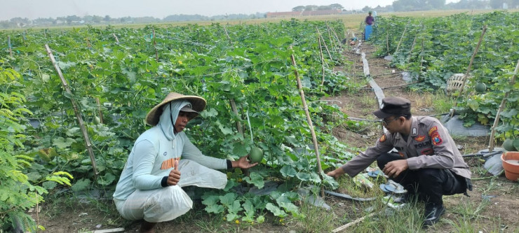 Dampingi Warga Kelolah Lahan Ketahanan Pangan, Kapolsek Tarik Masifkan Peran Bhabinkamtibmas