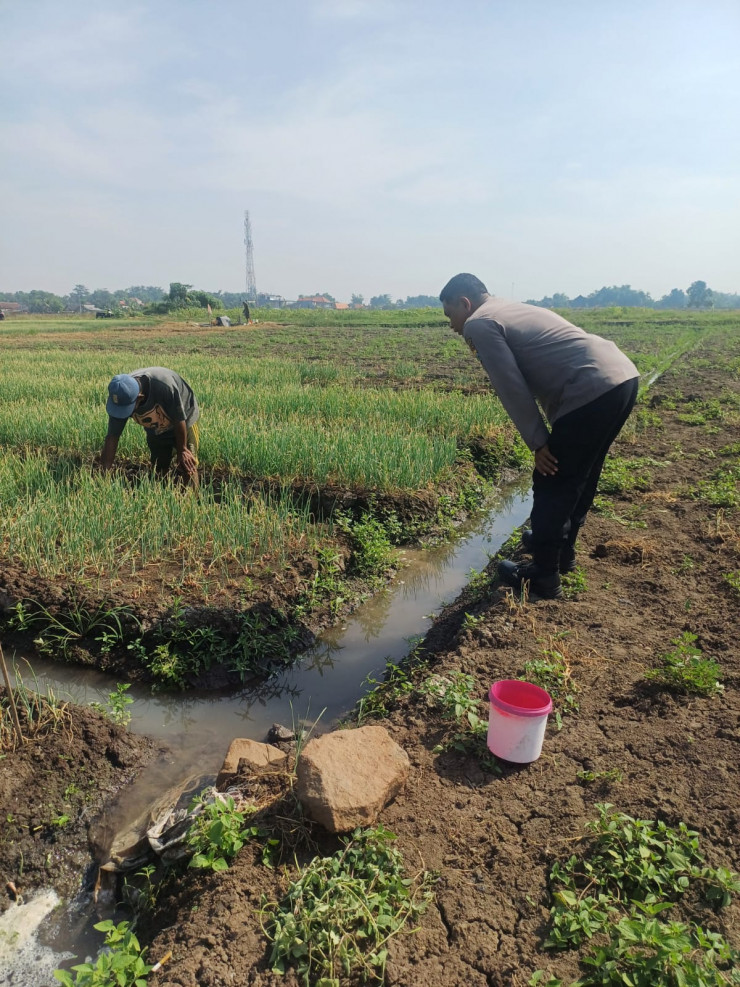 Kapolsek Tarik Masifkan Patroli Dialogis, Bhabinkamtibmas Gandeng Petani Bawang Merah Dukung Ketahanan Pangan Nasional