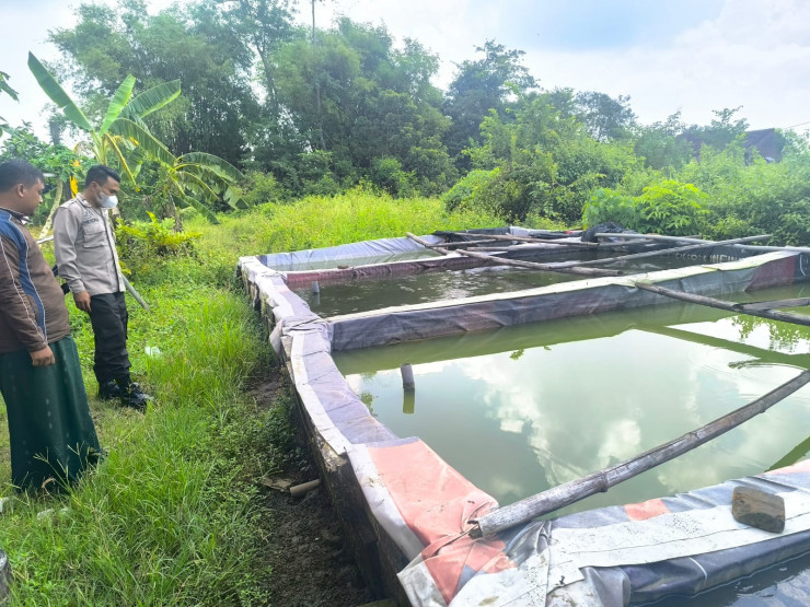 Polsek Tarik Dampingi Warga Kedungbocok Budidaya Ikan Lele