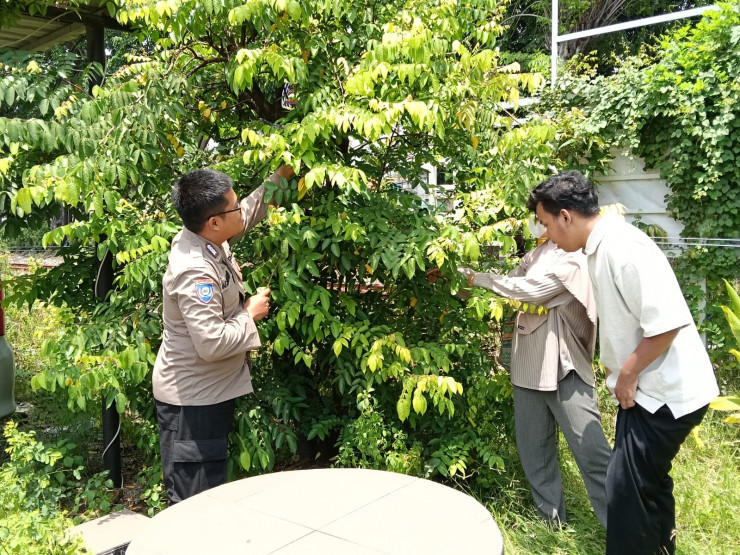 Polsek Waru Masifkan Peran Bhabinkamtibmas Cek Perkembangan Tanaman Ketahanan Pangan