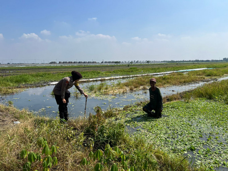 Polwan Polsek Wonoayu Dampingi Warga Rawat Lahan Kosong Dukung Ketahanan Pangan