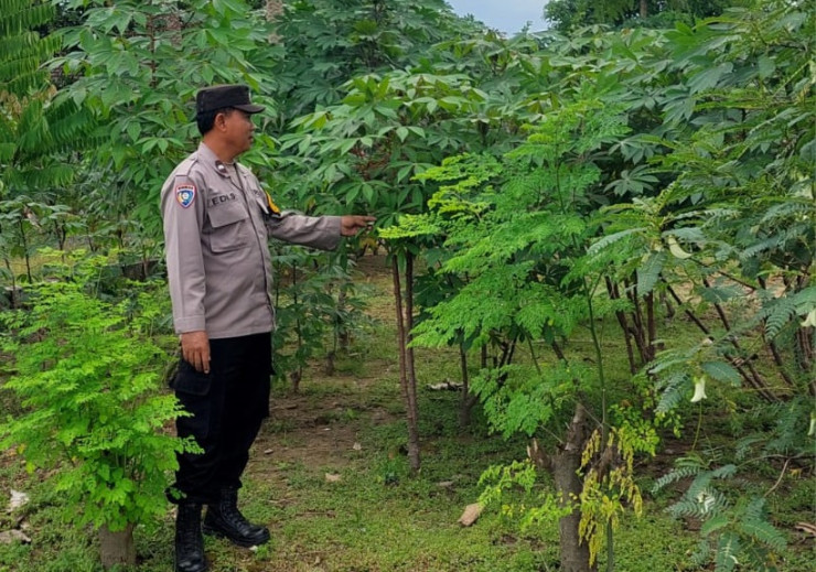 Warga Desa Ketimang Wonoayu Manfaatkan Lahan Kosong untuk Wujudkan Ketahanan Pangan