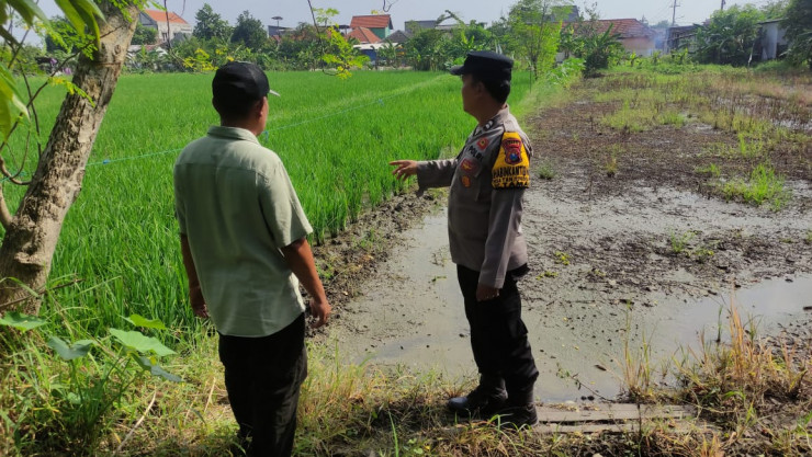 Bhabinkamtibmas Tanjungsari Bersama Petani Tinjau Perkembangan Padi Dukung Ketahanan Pangan