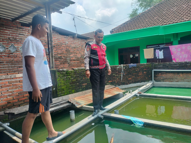 Bhabinkamtibmas Juwetkenongo Polsek Porong Tinjau Program Ketahanan Pangan Lewat Budidaya Ikan Nila