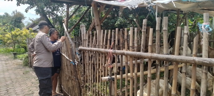 Polresta Sidoarjo | Tingkatkan Kualitas Hewan Ternak, Peran Aktif Bhabinkamtibmas Dioptimalkan