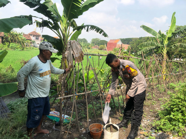 Bhabinkamtibmas Semambung Bantu Petani Wujudkan Ketahanan Pangan Polresta Sidoarjo