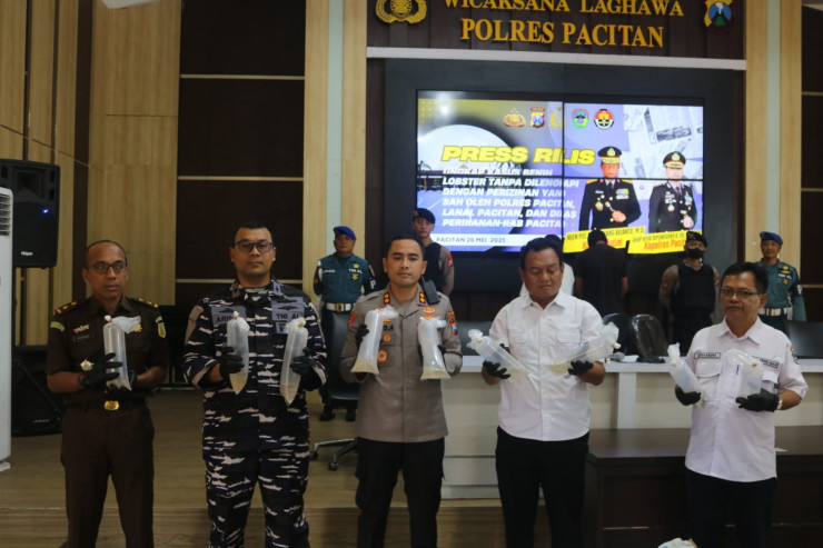 Polres Pacitan Ungkap Penyelundupan 27.650 Benur Ilegal, 2 Tersangka Diamankan