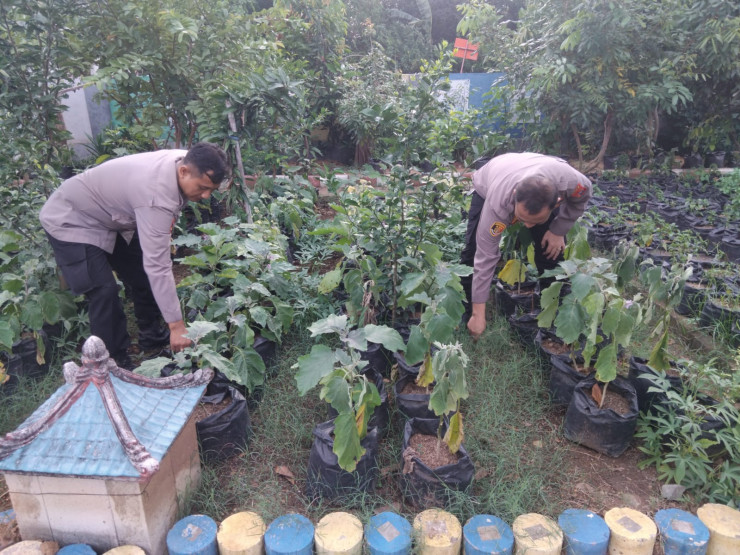 Polisi Cinta Petani, Kapolsek Krembung Turun Langsung Pantau Pekarangan Pangan di Lemujut
